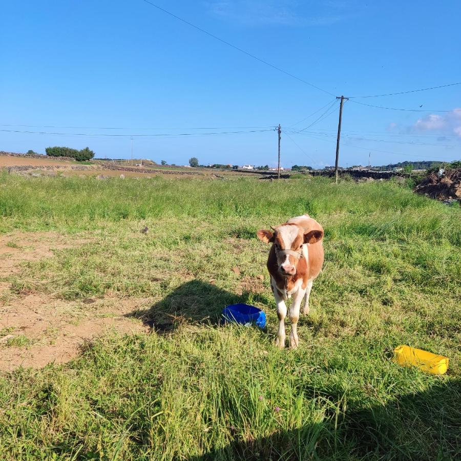 O Postigo Apartman Praia da Vitória Kültér fotó