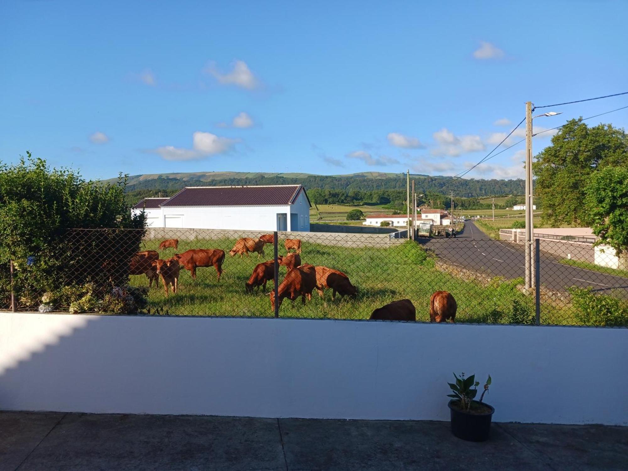 O Postigo Apartman Praia da Vitória Kültér fotó